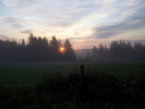 Spring sunrise over a country meadow - a peaceful, serene setting.