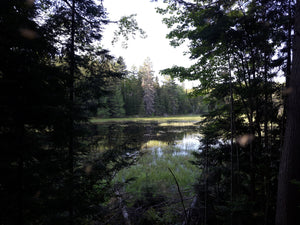 Relax with the Sounds of Nature