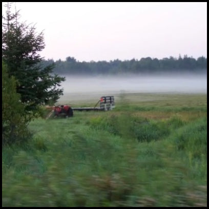 Morning Meadow - Song for Ruth