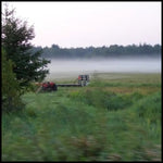 Morning Meadow - Song for Ruth