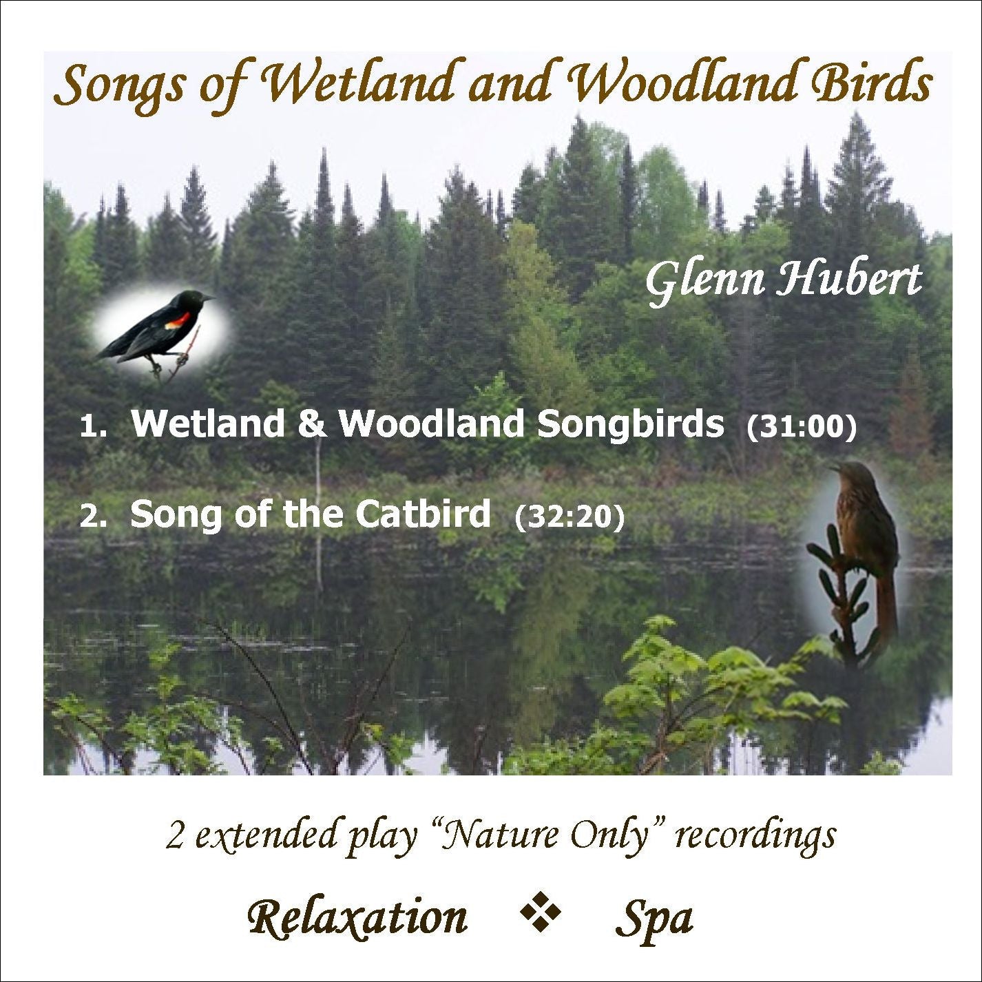 Songs of Wetland & Woodland Birds Glenn Hubert CD front