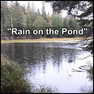 "Rain on the Pond" - Native flute with relaxing sounds of rain on the pond.