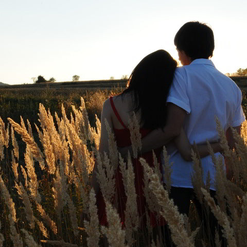 A Soft Place to Fall
